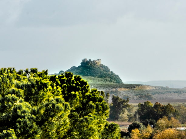 Castillo de Almodóvar Paisaje mediterráneo con el Castillo de Almodóvar al fondo, sobre una colina