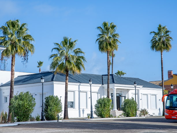 Salones de Eventos | Vista General Vista general del edificio que alberga los salones de eventos, con gran capacidad